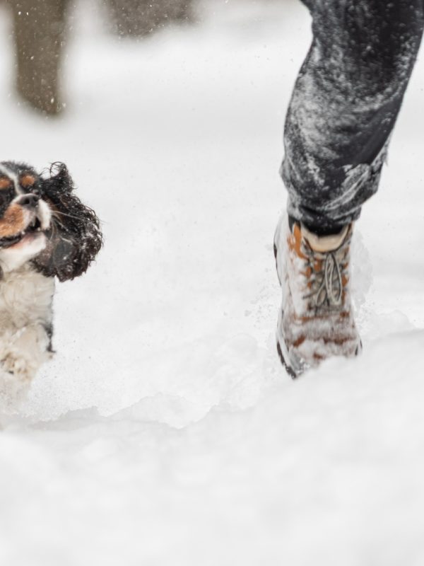 611437862_25615017668114687_4981120582353498038_n