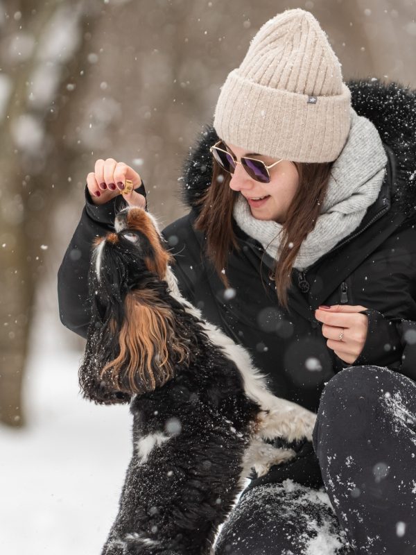 611988416_25615017734781347_768078485494179682_n