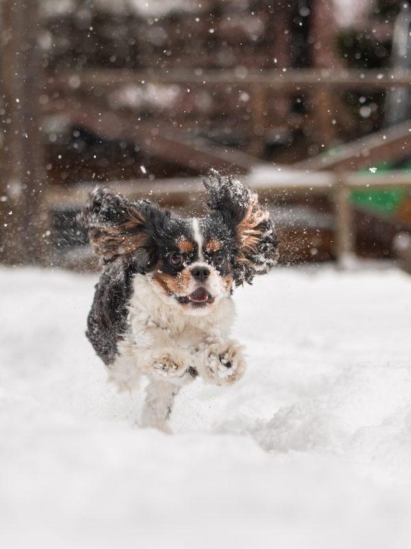 612244624_25615017631448024_5427840535993761250_n