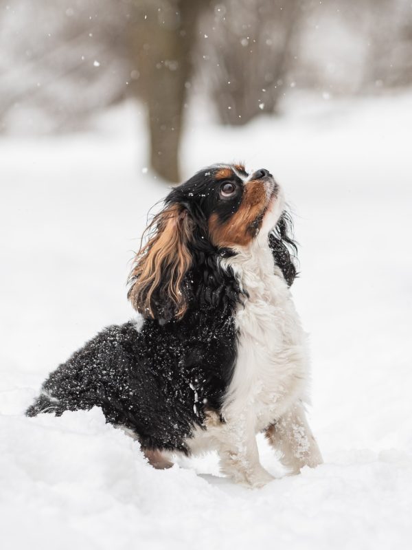 612377273_25615017604781360_5764777637632127028_n